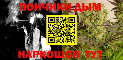 шишки Гусиноозёрск