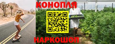 шишки Гусиноозёрск