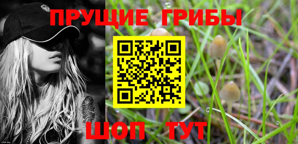 Псилоцибиновые грибы прущие грибы Орёл