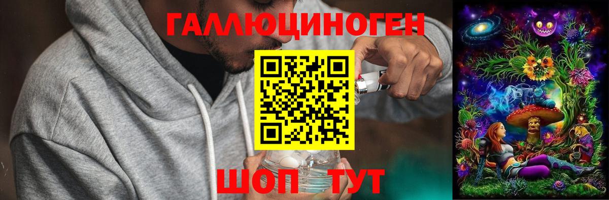 Орёл  Псилоцибиновые грибы Cubensis  Вход с VPN 
